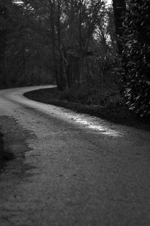 The Energy Transition: The Grid Upgrade