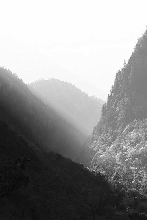 The Great Re-Alignment: 'Sub-Global' Trade